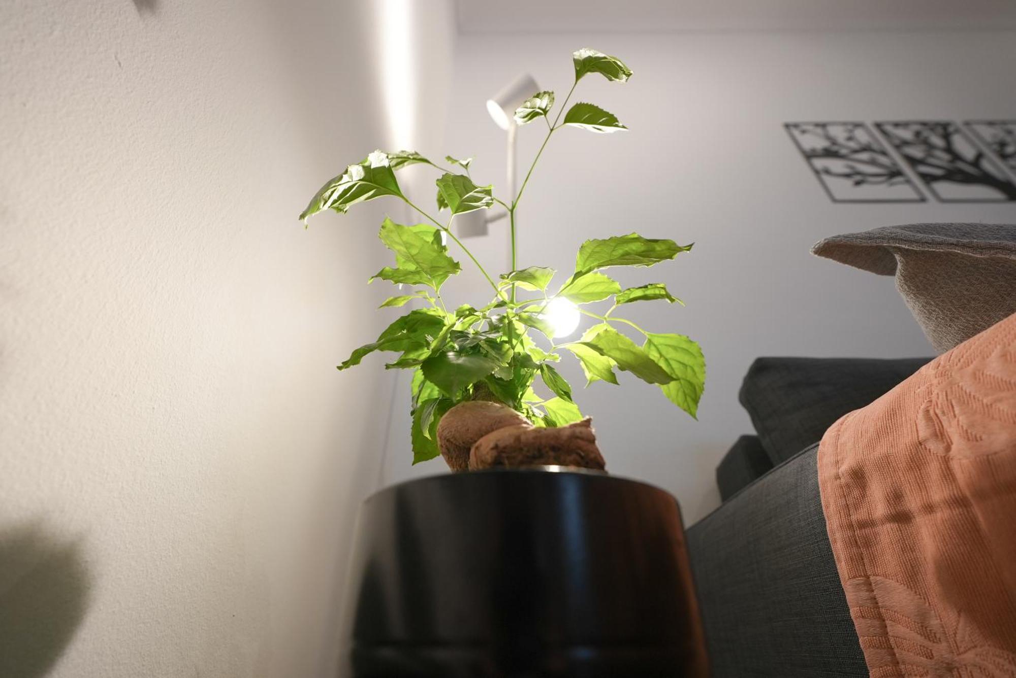 Syntagma Square, 50Sqm Nikis Luxurious Apartment أثينا المظهر الخارجي الصورة